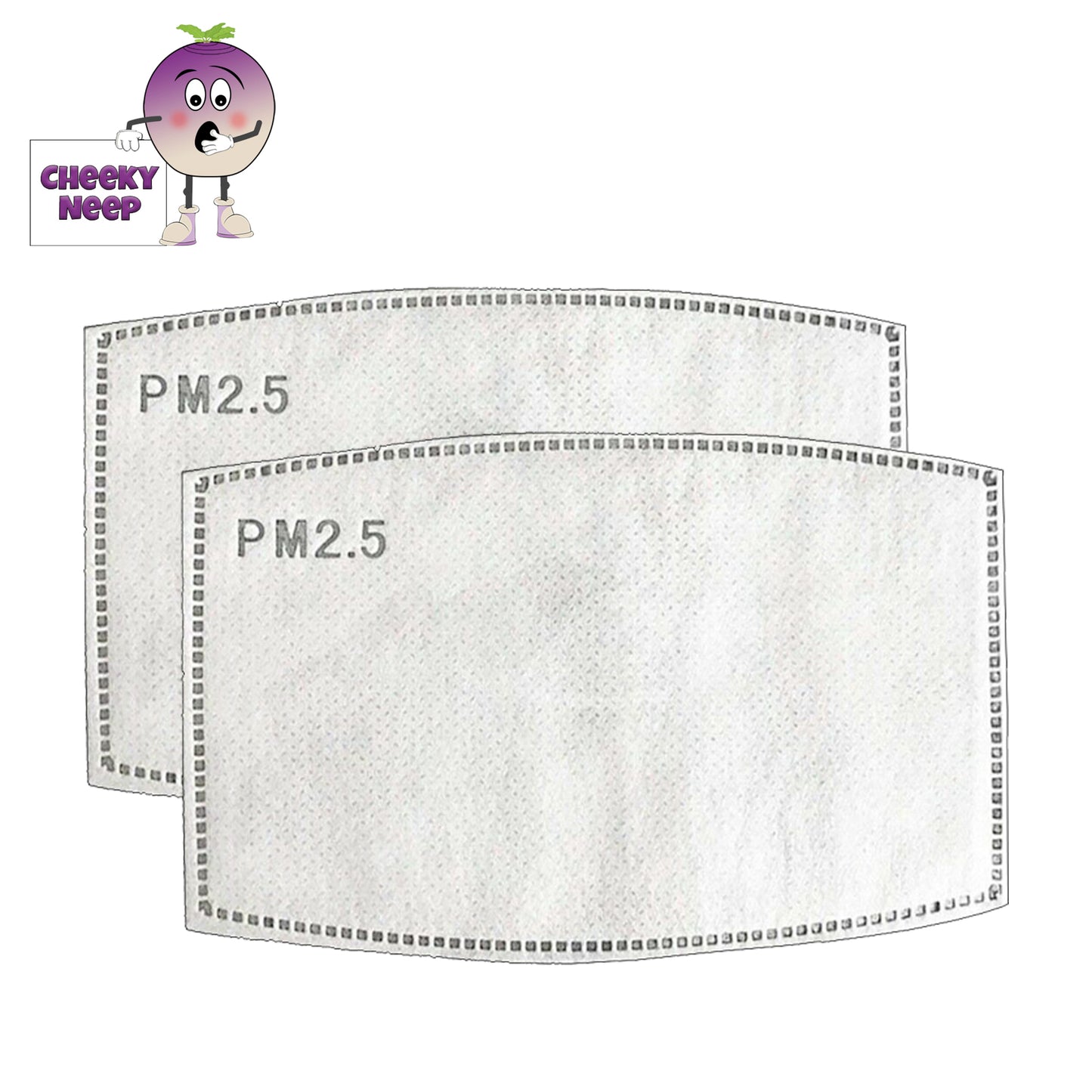 Pack of two replacement filters for Face covers