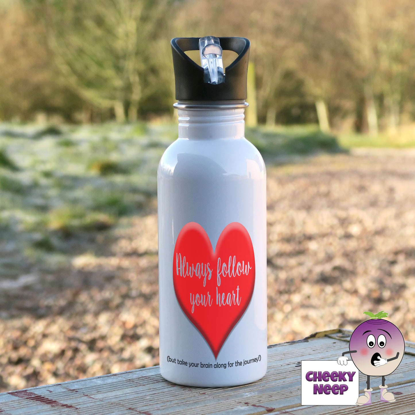 600ml white aluminium sports water bottle with a large red heart printed on the bottle. Over the heart in white text is the words "Always follow your heart" below the heart in black smaller text are the words "(but take your brain along for the journey)"