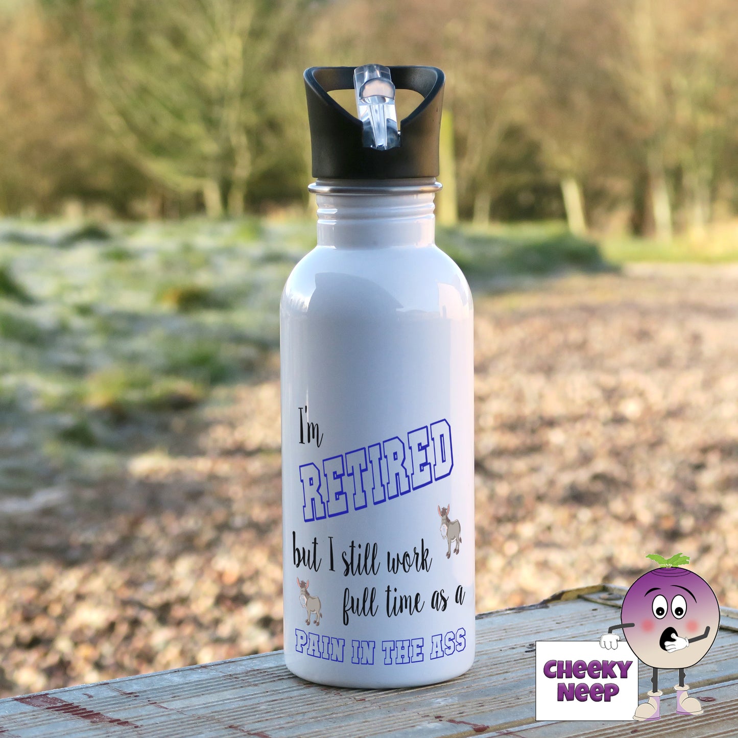 600ml white aluminium water bottle with the words "I'm retired but I still work full time as a pain in the ass" printed on the bottle