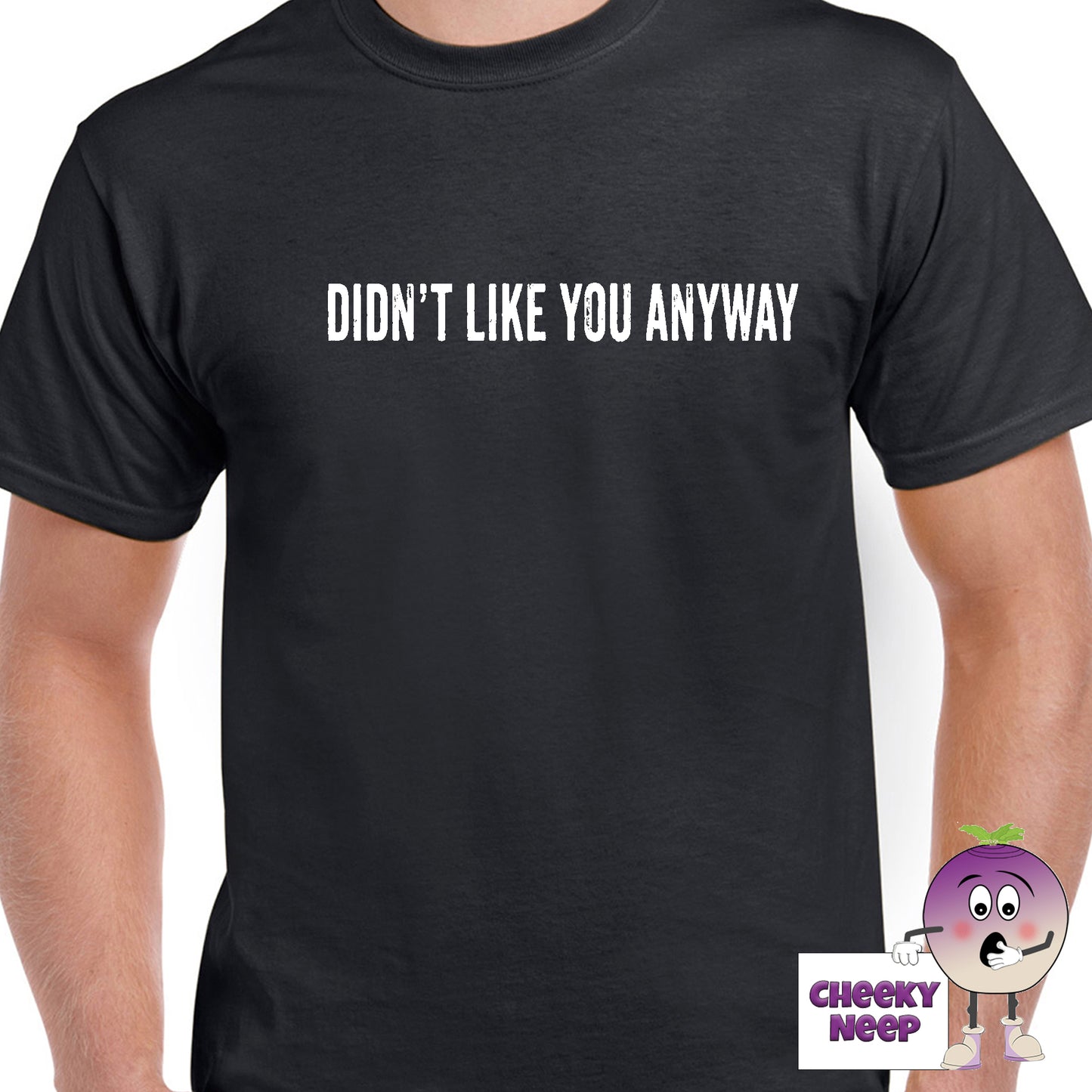 Mens black t-shirt with the slogan "Didn't Like You Anyway" printed on the front of the tee as produced by Cheekyneep.com