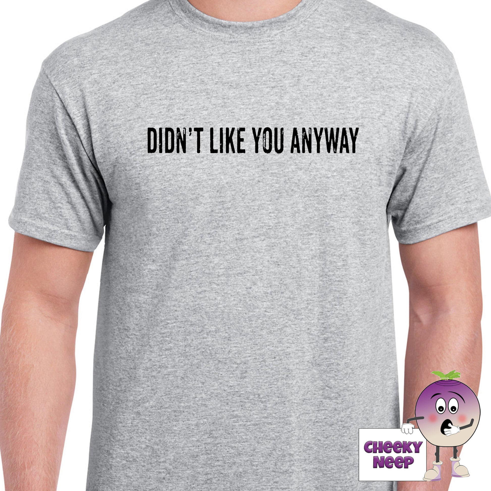 Mens grey t-shirt with the slogan "Didn't Like You Anyway" printed on the front of the tee as produced by Cheekyneep.com