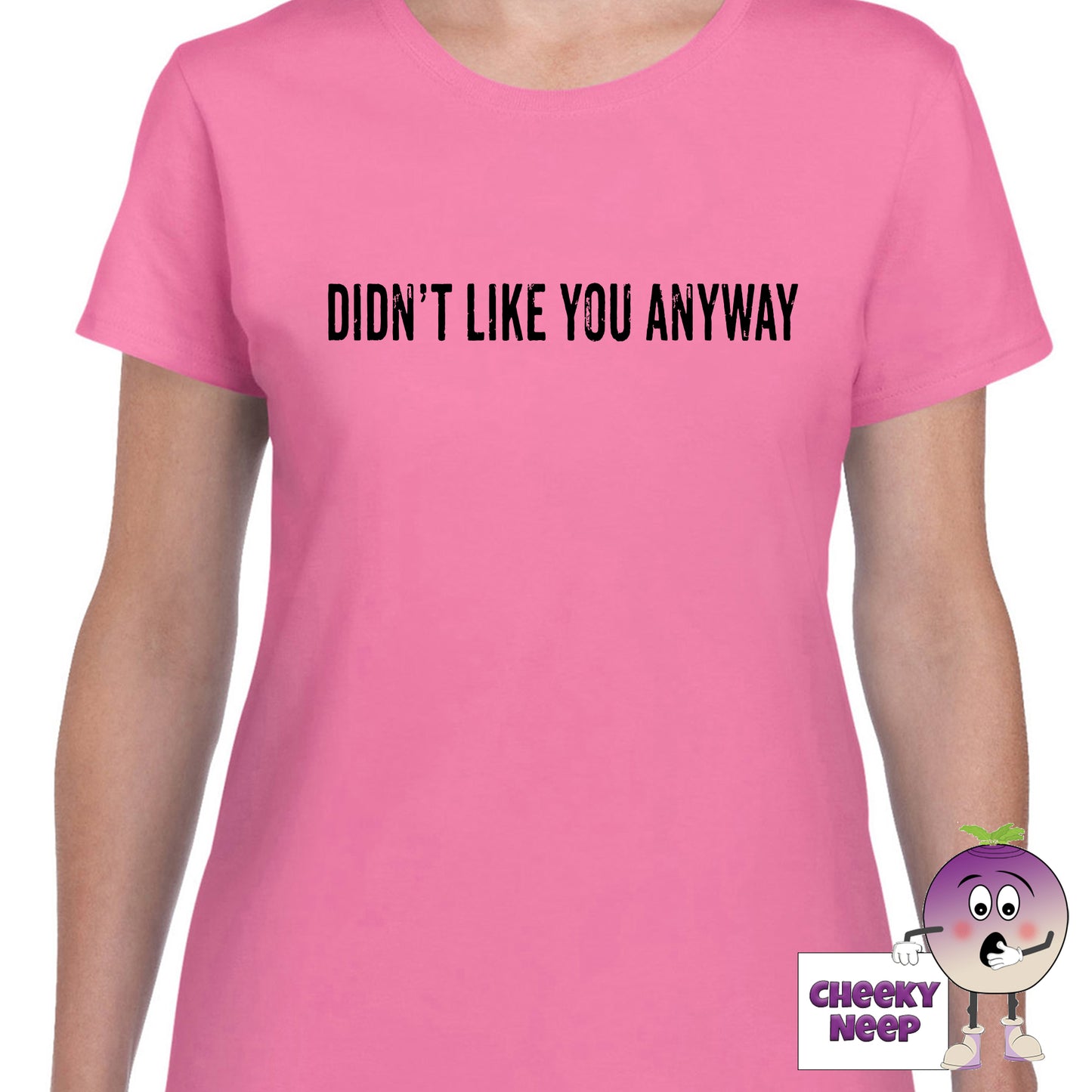 Womens azalea t-shirt with the slogan "Didn't Like You Anyway" printed on the front of the tee as produced by Cheekyneep.com