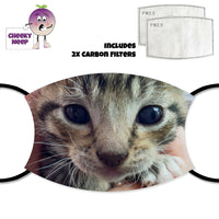 Cute kitten face on a face cover together with two replaceable carbon filters as supplied by Cheekyneep.com