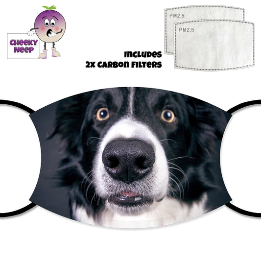 Picture of a black and white collie dog's face printed on a face cover together with two replaceable carbon filters as supplied by Cheekyneep.com