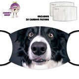 Picture of a black and white collie dog's face printed on a face cover together with two replaceable carbon filters as supplied by Cheekyneep.com