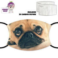 Picture of a Pug Dog's face printed on a face cover as supplied by Cheekyneep.com