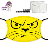 Picture of a grumpy yellow cat on a face cover and two carbon filters as supplied by Cheekyneep.com