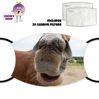 Close up of chestnut horse's nose and mouth as printed on a face cover and also a picture of two carbon filters as produced by Cheekyneep.com